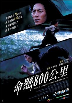 命悬800公里在线观看和下载