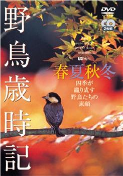 野鳥歲時記-春夏秋冬在线观看和下载