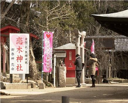 纪实72小时：情人节主题神社 ~爱神之所在~在线观看和下载