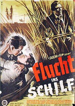 Flucht ins Schilf在线观看和下载