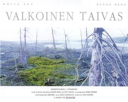 Valkoinen taivas在线观看和下载