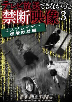 テレビ放送できなかった禁断映像3在线观看和下载