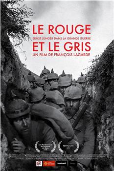 Le rouge et le gris, Ernst Jünger dans la grande guerre在线观看和下载