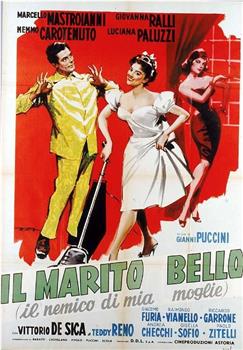 Il marito bello: Il nemico di mia moglie在线观看和下载