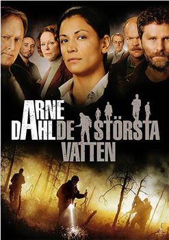 Arne Dahl: De största vatten在线观看和下载