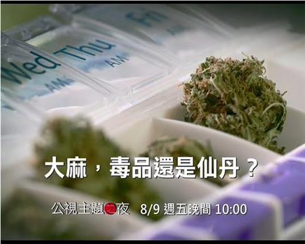 大麻：毒品还是仙丹在线观看和下载