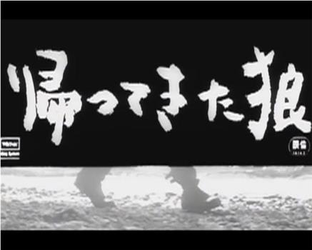 帰ってきた狼在线观看和下载