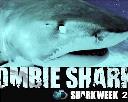 Zombie Sharks在线观看和下载