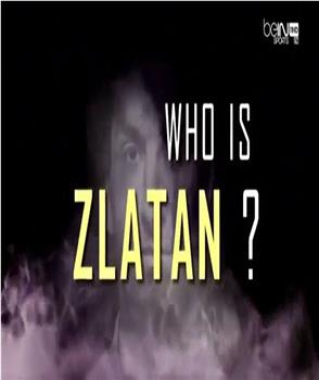 Who Is Zlatan?在线观看和下载