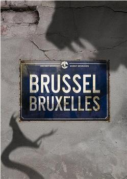 Brussel Season 1在线观看和下载