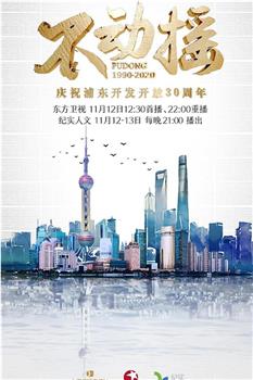 不动摇——庆祝浦东开发开放30周年在线观看和下载