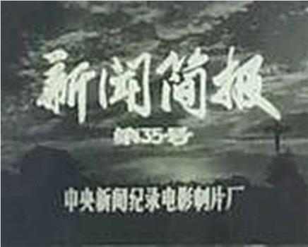 新闻简报1974年第35号：庆祝中华人民共和国成立二十五周年在线观看和下载