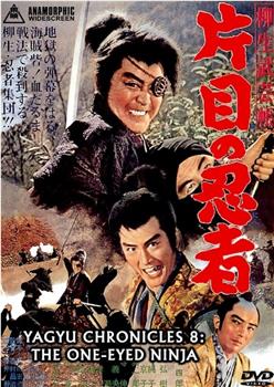 柳生武艺帐之独眼忍者在线观看和下载