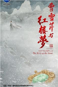 曹雪芹与红楼梦在线观看和下载