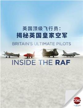 英国顶级飞行员：揭秘英国皇家空军在线观看和下载