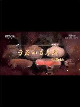 子房山古墓群发掘记在线观看和下载