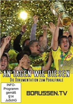 在这样的日子里：2012德国杯决赛纪录片在线观看和下载