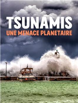 Tsunamis, une menace planétaire在线观看和下载