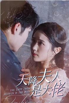 天降夫人是大佬在线观看和下载