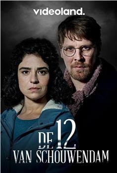 De 12 van Schouwendam Season 1在线观看和下载