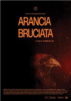 Arancia Bruciata在线观看和下载