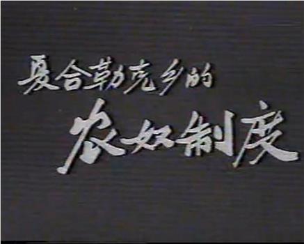 新疆维吾尔族地区夏合勒克乡的农奴制在线观看和下载