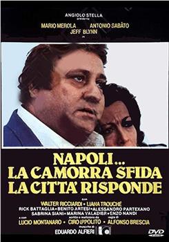 Napoli... la camorra sfida, la città risponde在线观看和下载