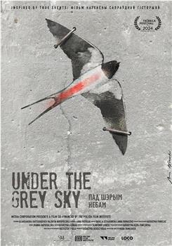 Under the Grey Sky在线观看和下载