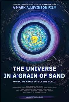 The Universe in a Grain of Sand在线观看和下载