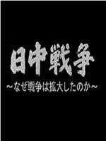 中日战争扩大化的真相在线观看和下载