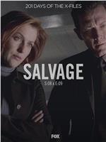 "The X Files" SE 8.9 Salvage在线观看和下载