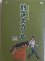 警犬卡尔在线观看和下载