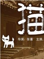 猫在线观看和下载