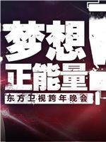 东方卫视跨年演唱会在线观看和下载