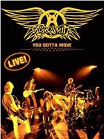 Aerosmith You Gotta Move在线观看和下载