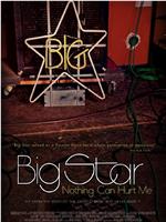 Big Star: Nothing Can Hurt Me在线观看和下载