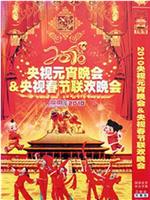 2010年中央电视台元宵晚会在线观看和下载