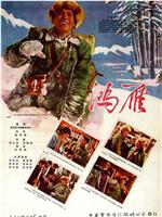 鸿雁观看