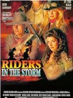 Riders in the Storm在线观看和下载