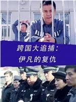 跨国大追捕：伊凡的复仇在线观看和下载