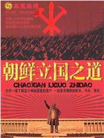 凤凰大视野：走进铁幕——从金正日到金正恩的朝鲜在线观看和下载