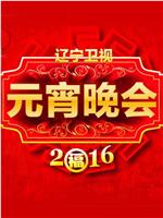 2016辽宁卫视元宵晚会在线观看和下载