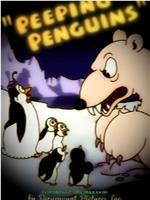 Peeping Penguins在线观看和下载