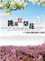 桃花红 梨花白在线观看和下载