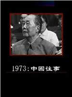 1973：中国往事在线观看和下载