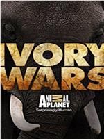 ivory wars在线观看和下载