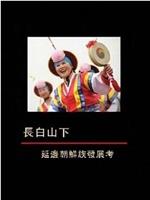 长白山下：延边朝鲜族发展考在线观看和下载