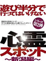 遊び半分で行ってはいけない心霊スポット～新潟編～在线观看和下载