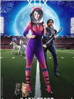 Super Bowl XLIX Halftime Show Starring Katy Perry在线观看和下载