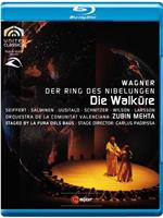 Wagner: Die Walküre在线观看和下载